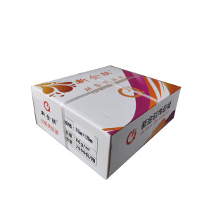 新金骐 财务凭证纸 210*120