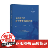 正版 民商事司法裁判精要与裁判规则(2019年卷)张嘉军 等著 人民法院出版社 9787510926105