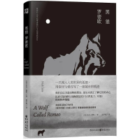 音像黑狼罗密欧(美)尼克·詹斯(Nick Jans) 著;范冬丽 译