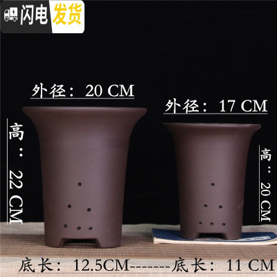 三维工匠宜兴紫砂盆君子兰花盆多肉陶瓷盆兰花盆栽大口径盆景花盆 一大一小[加紫砂托] 紫泥款花盆容器