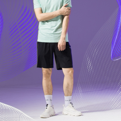 赛琪春夏季男休闲跑步运动短裤跑步健身宽松速干休闲裤沙滩裤透气短裤