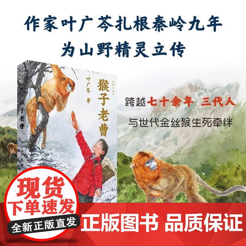 猴子老曹中国好书作者叶广芩童书五部曲动物与孩子人与金丝猴小学生二三四五年级课外阅读故事书籍儿童文学小说北京少年儿童出版社