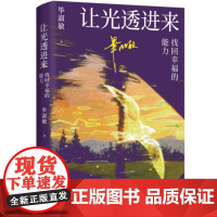 让光透进来找回幸福的能力 网友盛赞的 破解幸福密码 讲座精华 知名心理咨询师毕淑敏治愈之作 幸福不是运气 而是一种可习得
