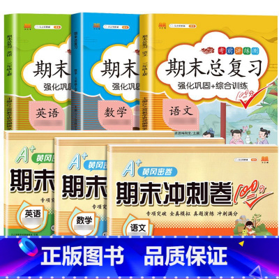 期末总复习+期末冲刺卷[语数英]6本 六年级下 [正版]斗半匠期末总复习一年级二年级三四五六年级上册语文数学英语全套人教