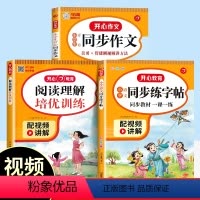 阅读理解+同步写作+字帖 一年级上 [正版]阅读理解专项训练书每日一练一二年级三年级四五六年级上下册小学语文课内课外阅读