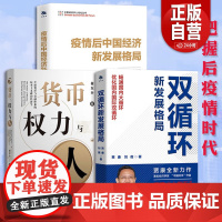翟东升作品3册货币权力与人 疫情后中国经济新发展格局中国经济书籍全球货币与金融体系的民本主义政治经济学 正版书籍ZY