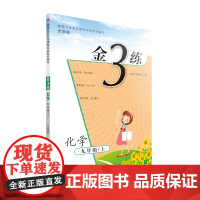 24秋金3练九年级化学上 全国版