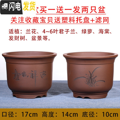 三维工匠宜兴紫砂花盆特大号盆景盆兰花盆君子兰 紫色福钟17cm口径发两个 手工测量误差±0.5cm花盆容器