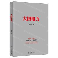 [N]大国电力(2002-2021中国电力企业成长叙事)-9787301324950