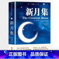 新月集 中英双语版 [正版]新月集 泰戈尔经典诗集英文原著小说世界文学中英文双世界名著现当代文学经典外国诗歌书籍