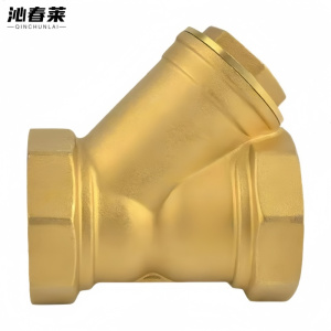 沁春莱 Y型过滤器 DN25 个