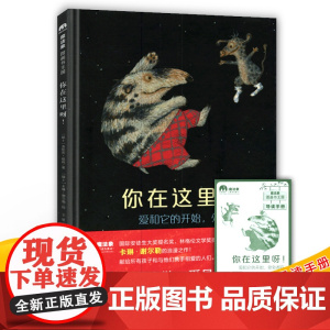 正版你在这里呀!魔法象图画书王国精装绘本3-6周岁幼儿益智启蒙早教图画书宝宝睡前故事书学会懂得爱的伟大