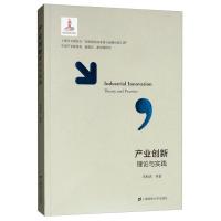 正版新书]产业创新理论与实践芮明杰等9787564231606