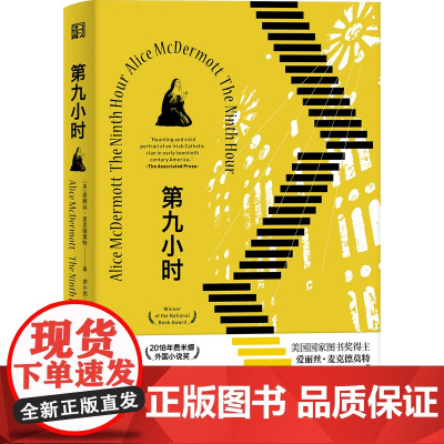 第九小时(美国国家图书奖得主 爱丽丝·麦克德莫特长篇小说) 爱丽丝·麦克德莫特 浙江文艺出版社 正版书籍