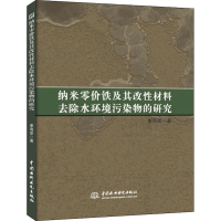 音像纳米零价铁及其改材料去除水环境污染物的研究康海彦