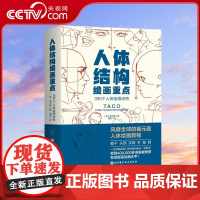 [央视网]人体结构绘画重点 全球的TACO 崔元喜 人体结构绘画教程 从头发丝到脚趾结构 彻底讲清人体绘画的难点和易错点