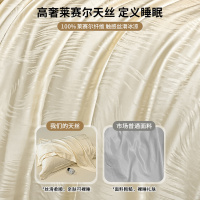 2026新款莱赛尔天丝床上用品四件套夏季冰丝被套被罩床单真丝床笠