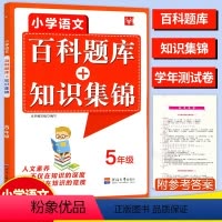 [正版]2024津桥教育小学语文综合知识全掌握百科题库+知识集锦五5年级上册下册语文知识培优竞赛练习题库语文奥赛综合能