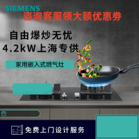 西门子(SIEMENS) ER9EPA33MP 燃气灶嵌入式三眼5.2KW大火力燃气灶蒸饭柜