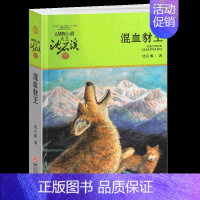 混血豺王 [正版]我们一起走迪克 动物小说大王沈石溪品藏书系 青少年经典课外读物 儿童课外书 中国儿童文学