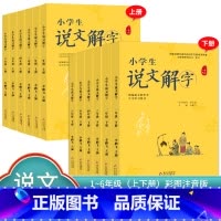 说文解字[上下册]2本 小学一年级 [正版]小学生说文解字 小学生写字 一二三四五六年级上下册 语文教科书文字讲解生字学