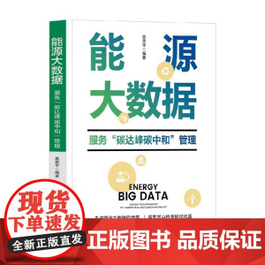能源大数据 服务 碳达峰碳中和 管理 吴杏平 著 计算机与互联网