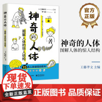 店 神奇的人体 图解人体的惊人结构 95条人体使用说明书 一本讲解人体知识的趣味科普书籍 [日] 工藤孝文 著