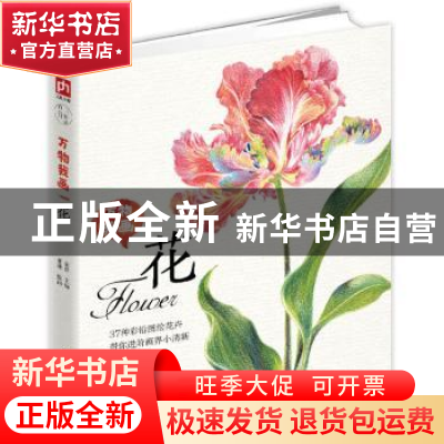 正版 万物我画:花 宋洋主编 江苏凤凰科学技术出版社 97875537663