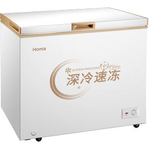奥马(Homa) BC/BD-202MF 202升变温冷柜 一级能效 冷藏冷冻节能轻音家用卧式小冷柜