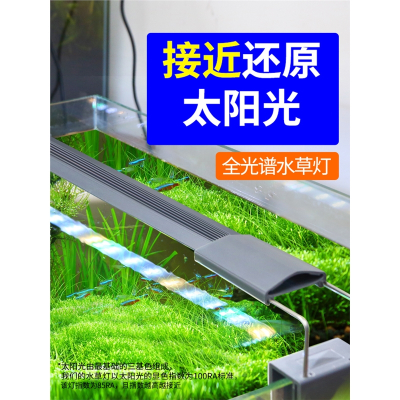 水草夹灯led价格 水草夹灯led最新报价 水草夹灯led多少钱 苏宁易购