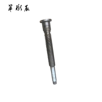 萃珑辰 主轴 65*412mm*m27*1.5 个