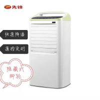 先锋冷风扇LL05-17AR