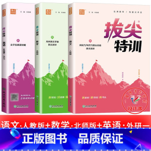 3册[外研版(一起)]英语+[北师大版]数学+[人教版]语文 五年级下 [正版]2025春拔尖特训英语外研版一年级起点英