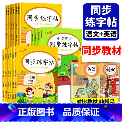 语文同步练字帖 上册+下册[共2册] 小学一年级 [正版]语文英语同步字帖练字帖人教版四年级上册一二三五六年级下册默写能