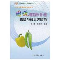 正版新书]图说棚室辣(甜)椒栽培与病虫害防治范妍芹 孙茜,97871