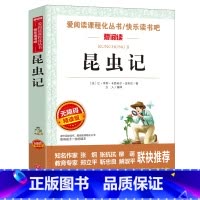 昆虫记 [正版]小王子书 圣埃克苏佩里原著 世界名著 四五六年级必读课外书籍 老师读物 适合儿童看的课外阅读名著图书