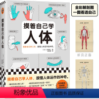 [正版]摸着自己学人体 摸懂人体运作的神奇 山本健人著 柴晶美译 医学科普 写给普通人的医学入门书 课外读物 人体生理