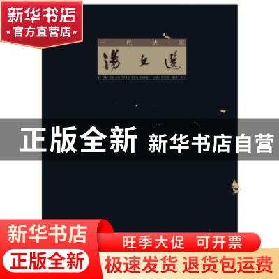 正版 一代大家汤文选 苏国强主编 湖北美术出版社 9787539462394