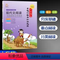 [正版]现代文阅读非连续性文本阅读 金牛耳小学语文专项训练与知识梳理小升初语文专项复习小学语文阅读理解专项同步阅读材料