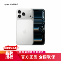 Apple iPhone 17 Pro Max 1TB 银色[需现场签收激活]5G全网通手机 全新正品国行