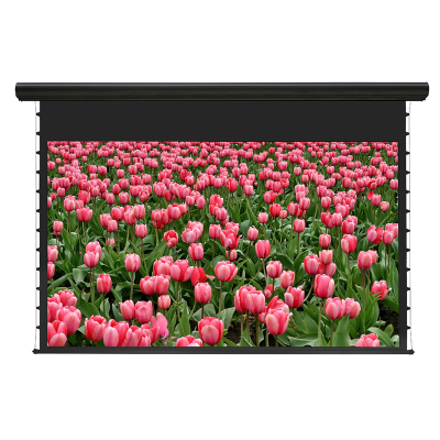 经科JK电动遥控拉线投影幕布H3-FL/2t拉绳正投软幕119寸16:10