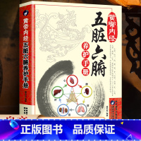 [正版]黄帝内经五脏六腑养护手册 中医书籍 调理 五脏六腑养生的书籍 樊岚岚/编著 家庭养生书籍