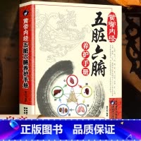 [正版]黄帝内经五脏六腑养护手册 中医书籍 调理 五脏六腑养生的书籍 樊岚岚/编著 家庭养生书籍