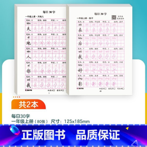 [语文]一年级上 [正版]每日一练英语字母单词练字帖小学生每日30字一二三年级字帖练字减压语文同步练字帖每日一练数学口算