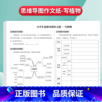[写植物]思维导图作文纸16张[472格] [正版]思维导图作文纸400格9-12岁草稿练习纸发散思维方格纸写人写事写动