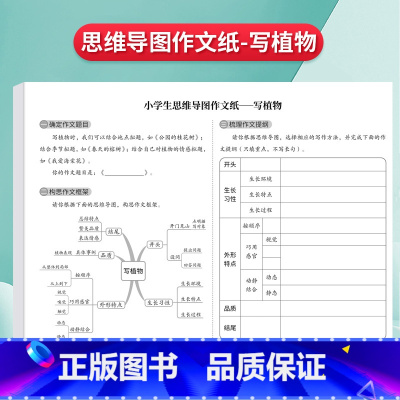 [写植物]思维导图作文纸16张[472格] [正版]思维导图作文纸400格9-12岁草稿练习纸发散思维方格纸写人写事写动