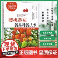 樱桃番茄新品种新技术 郑锦荣 编 樱桃番茄工厂化育苗技术 病虫害综合防控技术书籍 9787109305434