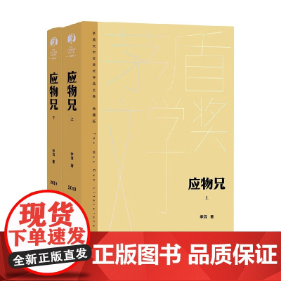 应物兄 上下 李洱 著 小说