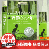奔跑的少年 长青藤国际大奖小说书系列 9-14岁儿童文学故事书 中小学生课外阅读书籍456年级课外阅读 青少年励志图书