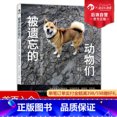 [正版] 被遗忘的动物们 灾难纪实摄影图册书籍 核电泄露 猫狗陪伴